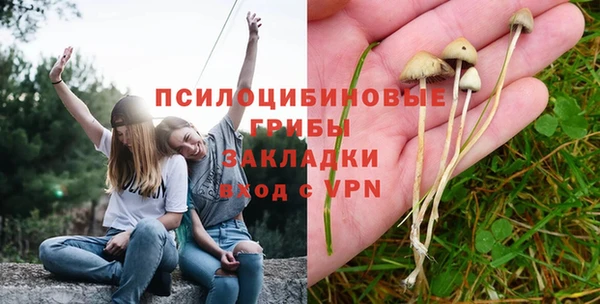 мескалин Алексин