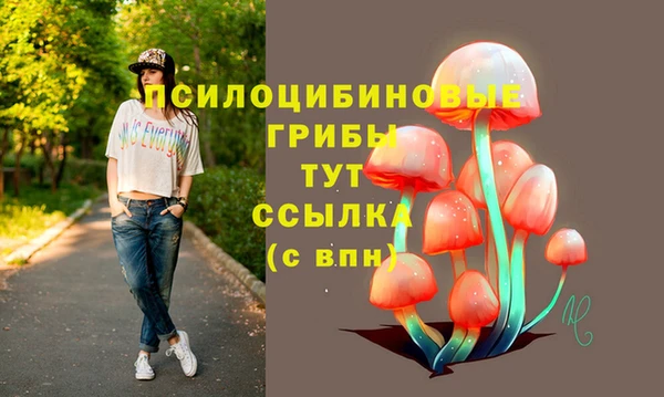 герыч Алзамай